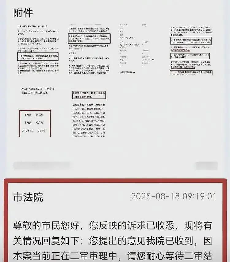 疯了!曝杨景媛死不悔改,想借上诉搞最后一搏,二审就要开场了(组图) - 3