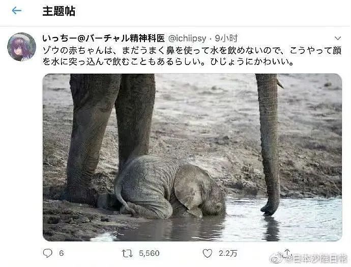 【爆笑】“错季网购了一件千元皮草后......“ 哈哈哈哈哈哈被网友笑晕过去了（组图） - 38
