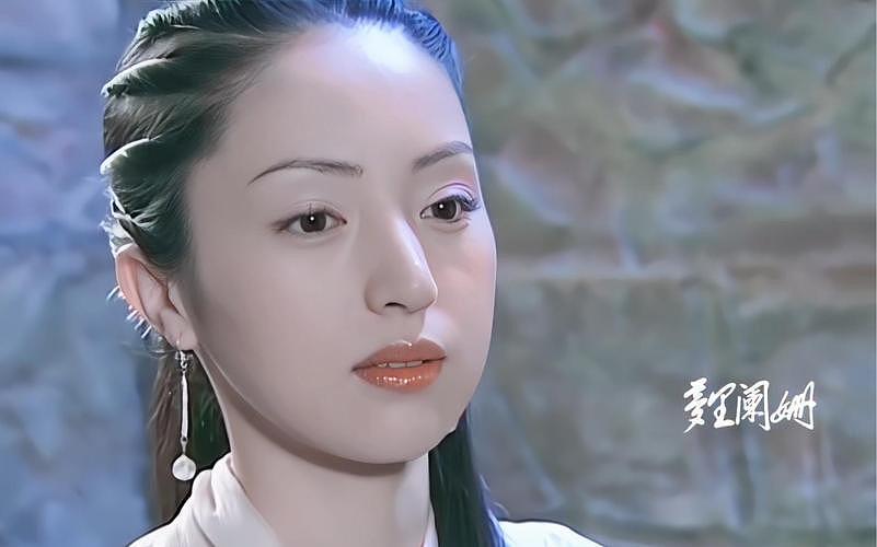 被群嘲的董璇,年轻时到底多美?出道22年10部经典作品,颜值几变(组图) - 13
