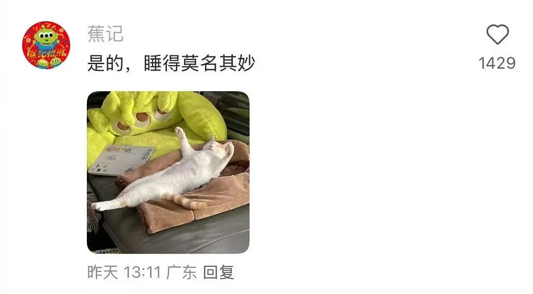 【爆笑】“错季网购了一件千元皮草后......“ 哈哈哈哈哈哈被网友笑晕过去了（组图） - 34