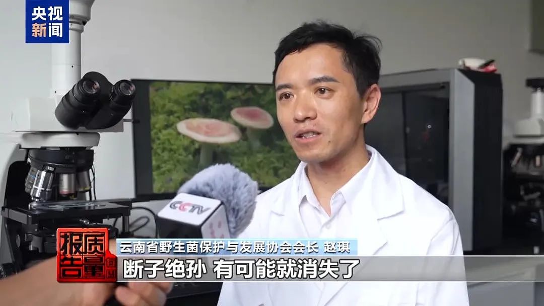 1天涌入超万人！网红项目暗藏致命风险，近年已有数千人出事，当地紧急通告（组图） - 15