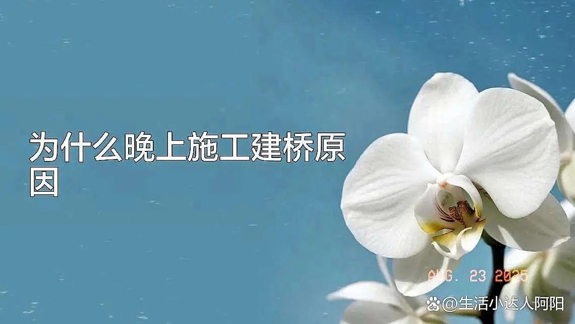 只差5米!黄河大桥深夜坍塌,20年老工程师:一个螺丝毁了所有?(组图) - 8
