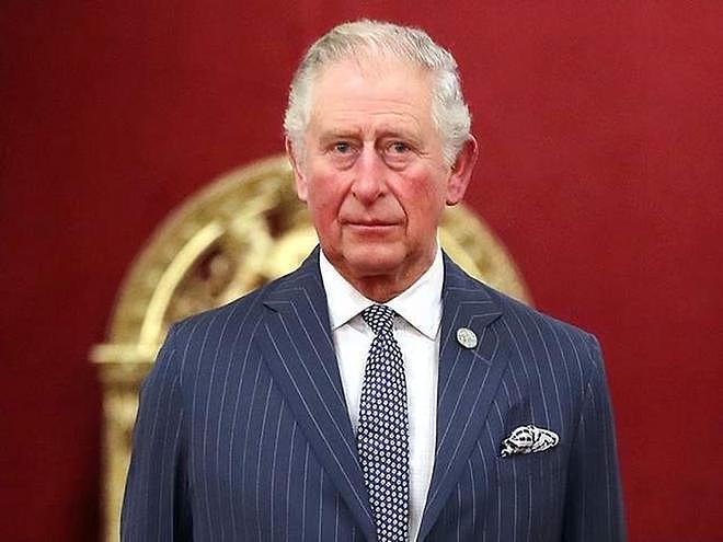 哈里开启重返王室之路：抛下老婆与国王私下面谈，梅根或成牺牲品（组图） - 2