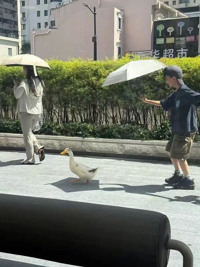 【爆笑】“上班摸鱼不要随便复制群里的八卦！” 哈哈哈哈哈笑得我发癫（组图） - 28