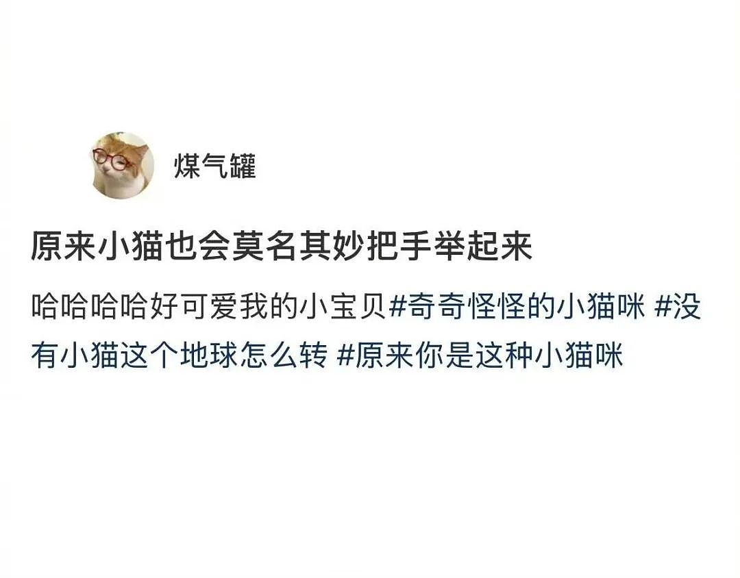 【爆笑】“错季网购了一件千元皮草后......“ 哈哈哈哈哈哈被网友笑晕过去了（组图） - 31
