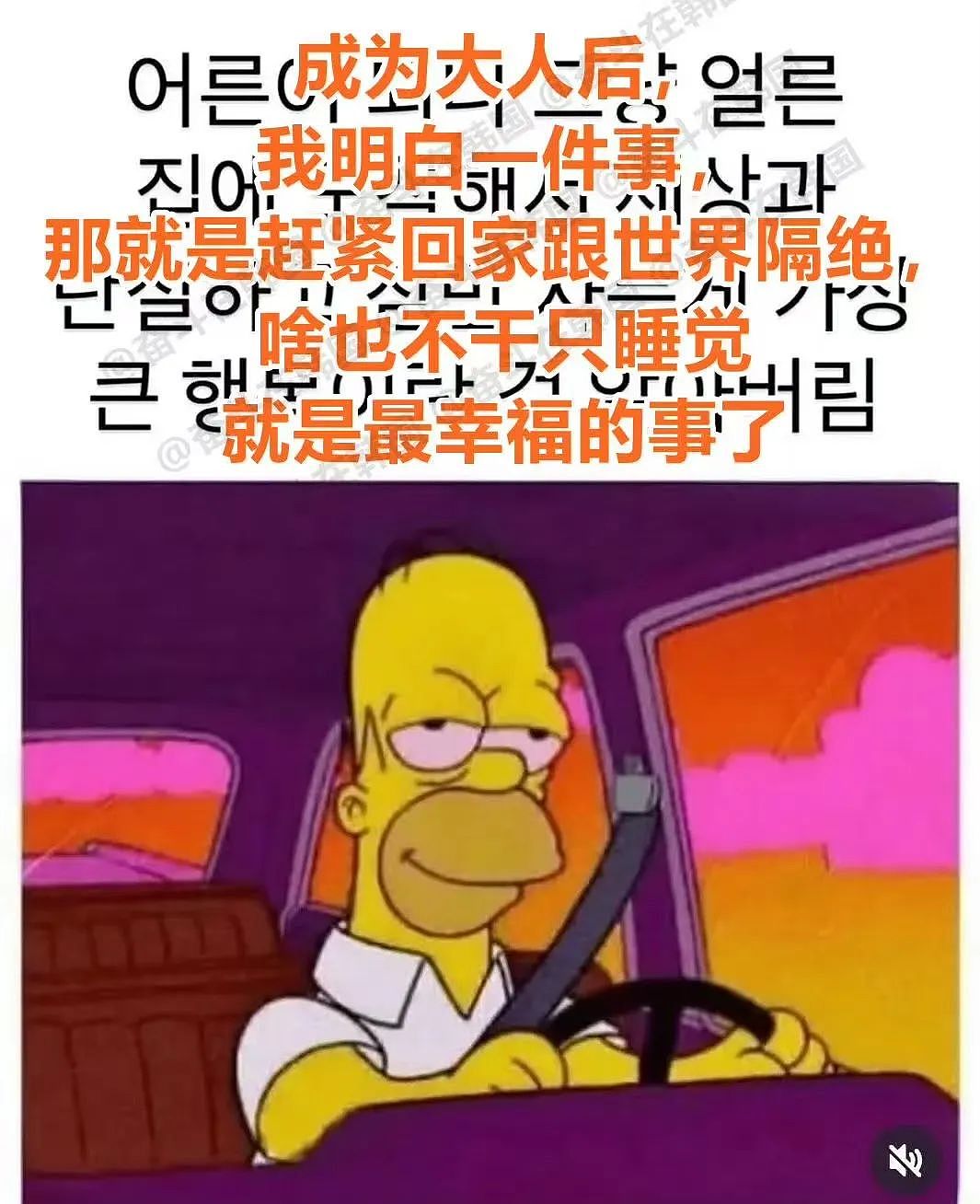 【爆笑】“错季网购了一件千元皮草后......“ 哈哈哈哈哈哈被网友笑晕过去了（组图） - 72