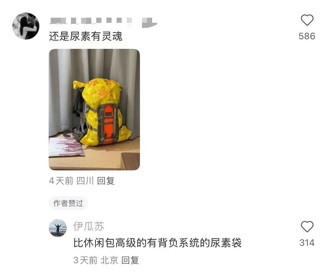 硬核配饰！迪卡侬推出“尿素袋”手包爆火！网友：巴黎世家，这盛世如你所愿？（组图） - 16