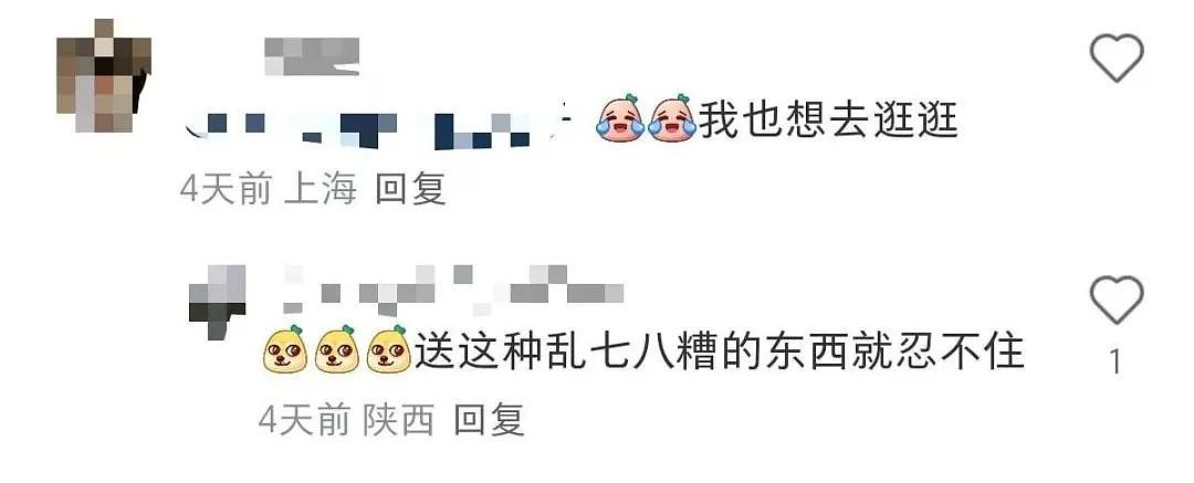 硬核配饰！迪卡侬推出“尿素袋”手包爆火！网友：巴黎世家，这盛世如你所愿？（组图） - 13