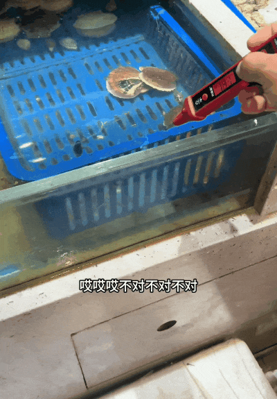 厨房爆炸、电器自燃！网友围观青岛电工“破案”，真相令人唏嘘（组图） - 27