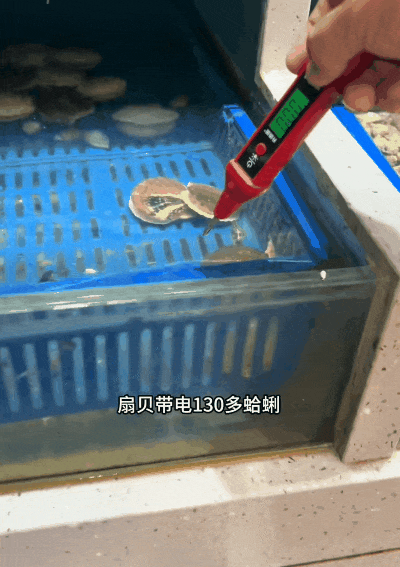 厨房爆炸、电器自燃！网友围观青岛电工“破案”，真相令人唏嘘（组图） - 23