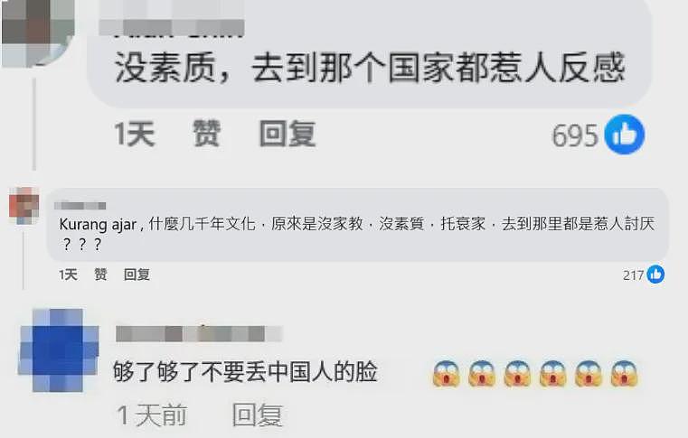 华人妈妈带娃插队,怒呛:“没有中国就没有你们国家...”言论引争议(视频/组图) - 8