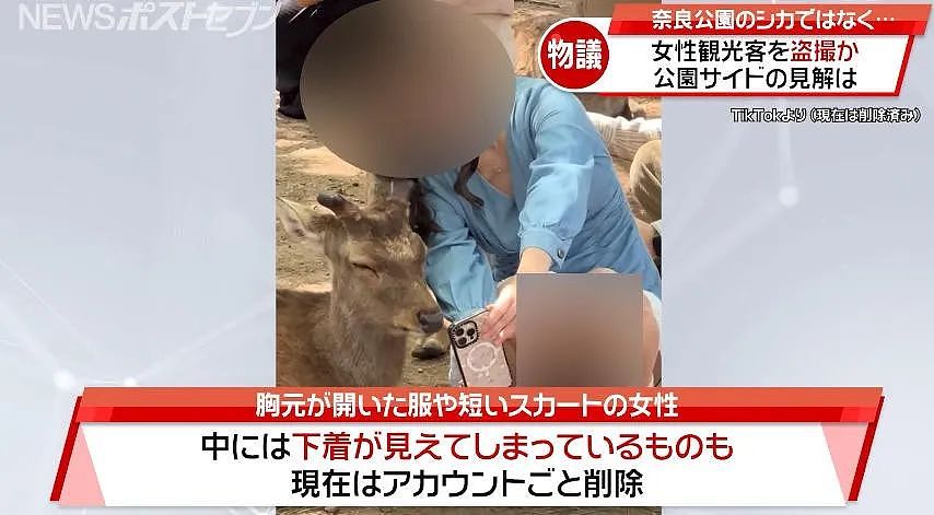 奈良喂鹿也危险？有变态专偷拍女游客裙底发网上，还有包月服务（组图） - 3