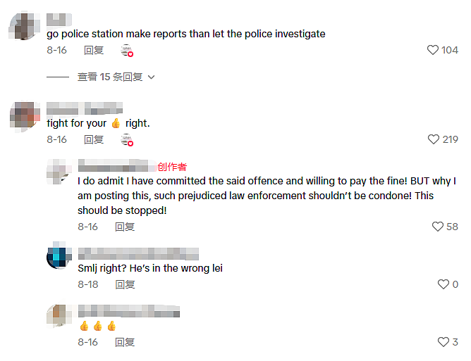 “凭啥不罚印度人?”新加坡华人投诉种族歧视(组图) - 6