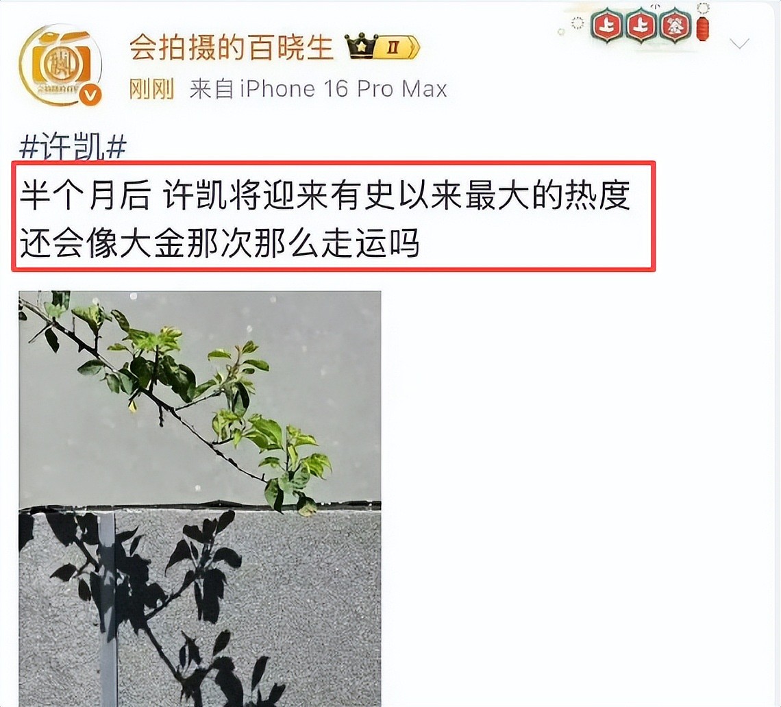 顶流男星“烂瓜”持续发酵，家暴睡粉只是冰山一角，牵连多位艺人（组图） - 30