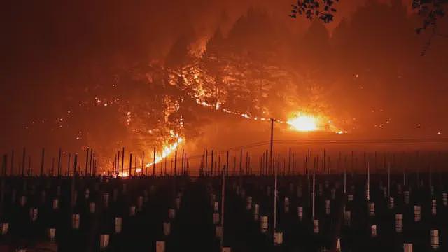 气候变化与酿酒：酿酒师为何被迫混酿不同年份的葡萄酒（组图） - 3