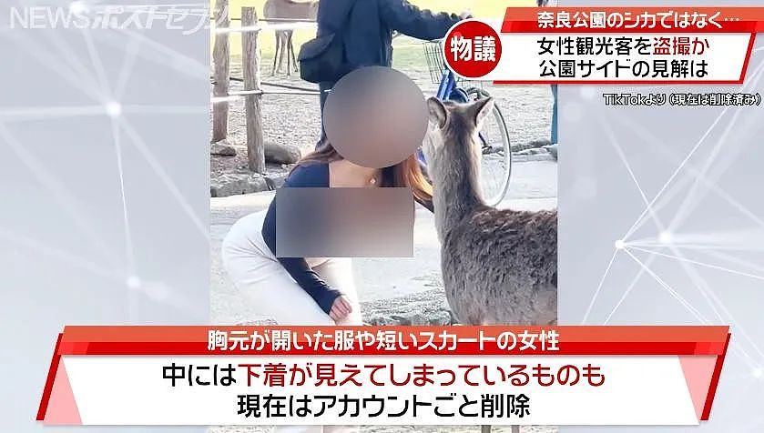 奈良喂鹿也危险？有变态专偷拍女游客裙底发网上，还有包月服务（组图） - 2