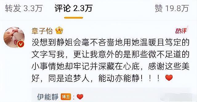 和汪峰离婚2年后，再看伊能静对章子怡的千字评价，葛荟婕说对了（组图） - 12