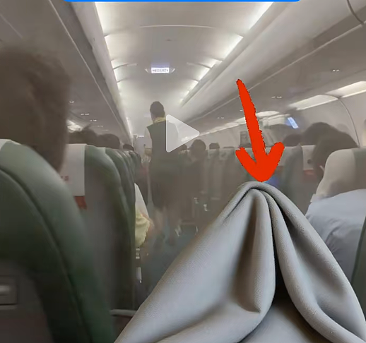 故意调低温卖毛毯?春秋航空“严正声明”!最赚钱航司:行李托运、餐饮等辅业创收超10亿元(组图) - 4