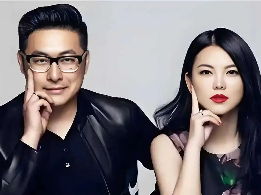李湘与前夫王岳伦再成立新公司，月初刚注销以女儿王诗龄命名的公司（组图） - 3