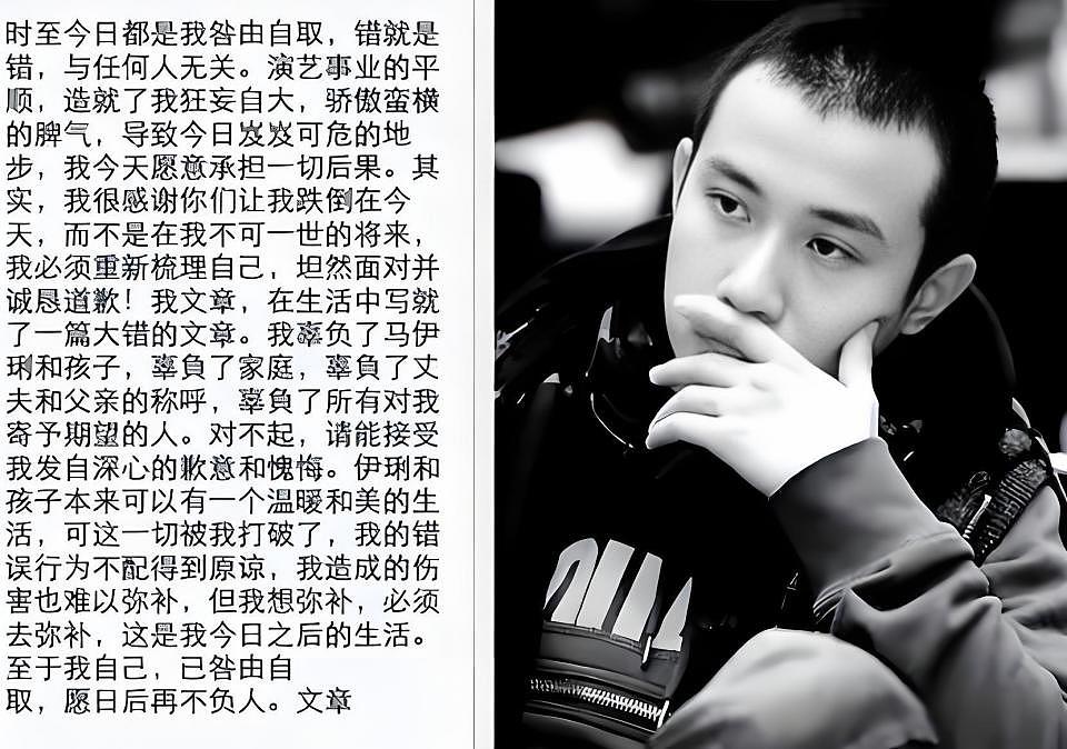 马伊琍亲述离婚原因,走到离婚,从来不只是那次“周一见”(组图) - 4