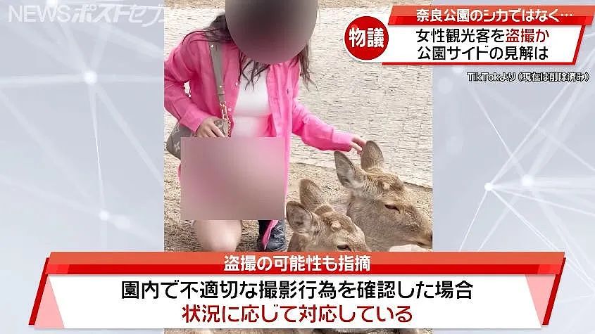奈良喂鹿也危险？有变态专偷拍女游客裙底发网上，还有包月服务（组图） - 4