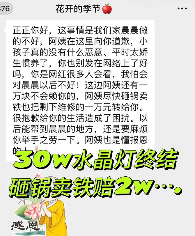 中国熊孩子火爆外网！只因拒绝送Labubu，就把亲戚小哥家砸了，损失40万...（组图） - 5