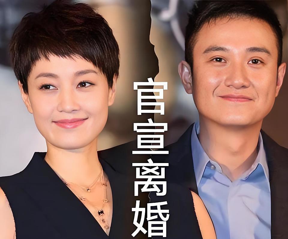 马伊琍亲述离婚原因,走到离婚,从来不只是那次“周一见”(组图) - 19