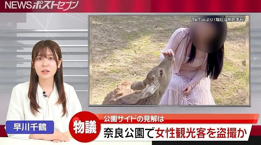 奈良喂鹿也危险？有变态专偷拍女游客裙底发网上，还有包月服务（组图） - 1