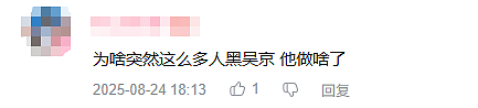 吴京说坦克没有后视镜，为什么会被网友恶搞？（组图） - 5