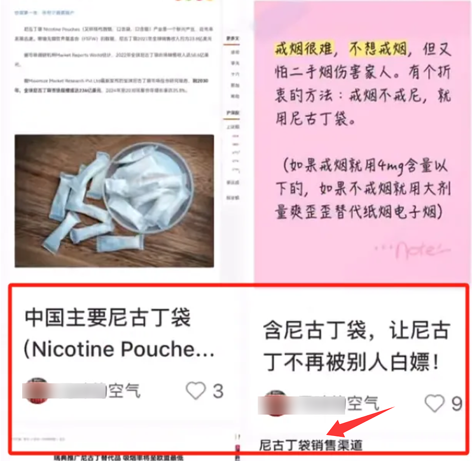 投诉鲁迅抽烟的孙女士，被扒了（组图） - 13