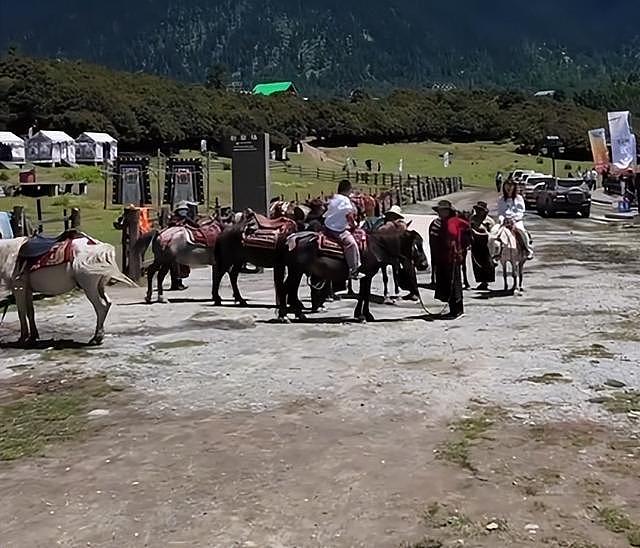 和汪峰离婚2年后，再看伊能静对章子怡的千字评价，葛荟婕说对了（组图） - 18