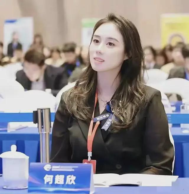 真不怪传闻,身价300亿的赌王千金何超欣,跟港姐利智长相神似(组图) - 15