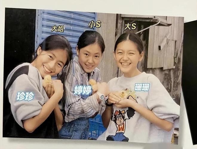 大S离世6个月，S妈再提告，汪小菲隔空喊话：台北房产和我无关（组图） - 17