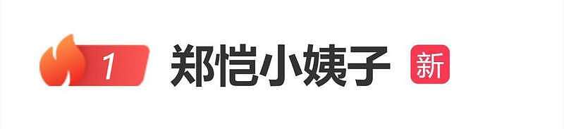 小姨子刷8.2万买包！郑恺停用丈母娘的亲属卡（组图） - 1