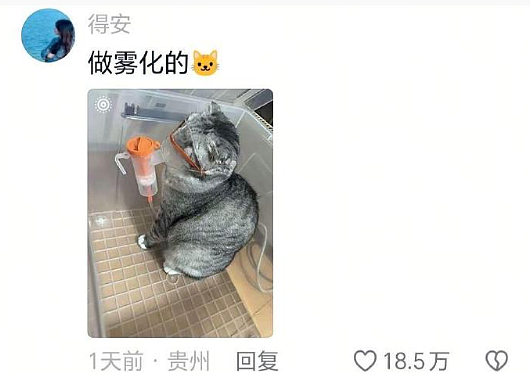 【爆笑】男朋友让我去找有钱人骗婚，再把钱分给他和他结婚（组图） - 44
