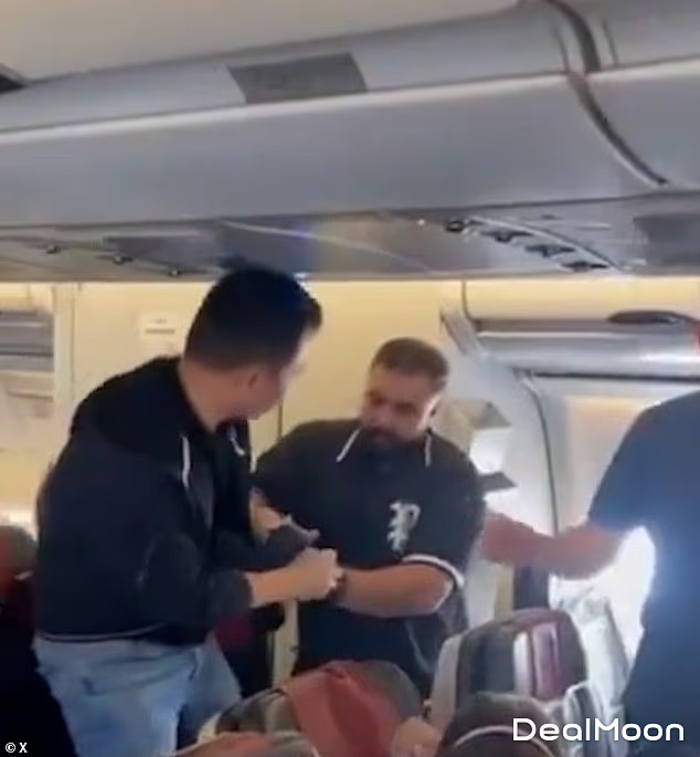 飞机突然传来“啪”的一声！华裔男子刚伸手拿行李，乘客一个巴掌扇来，全网看傻（组图） - 4