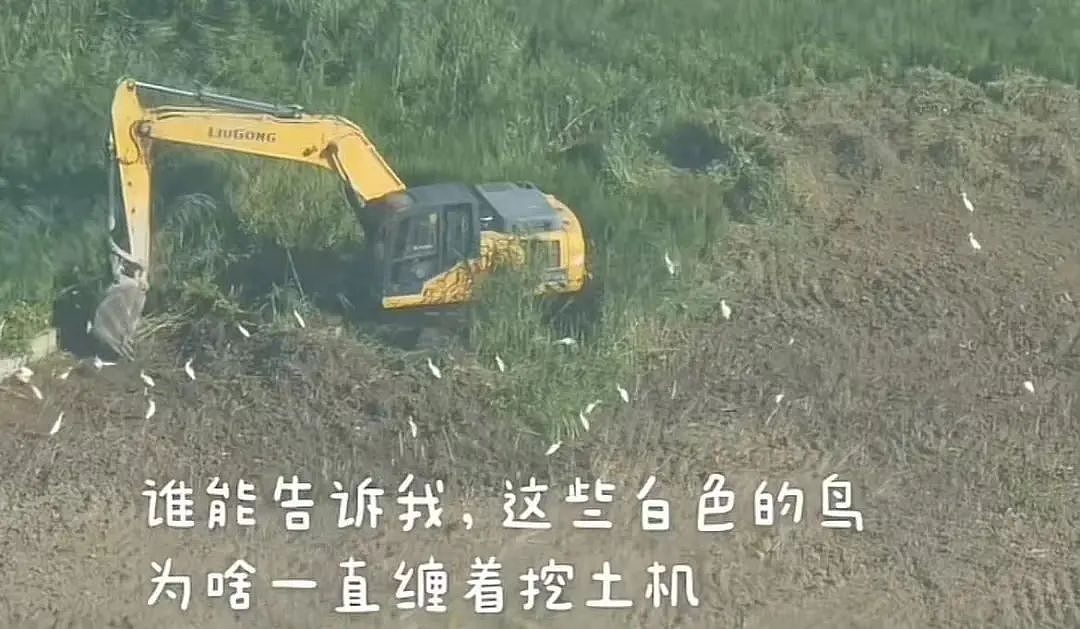 【爆笑】相亲对象两个月生活费只花三百…?啊啊啊求省钱教程(组图) - 22