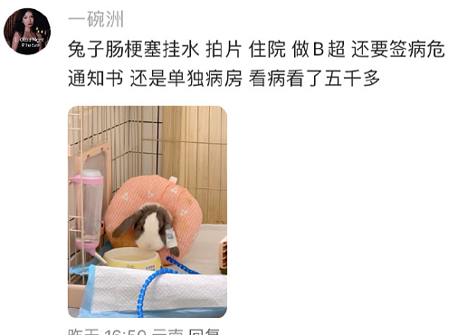【爆笑】男朋友让我去找有钱人骗婚，再把钱分给他和他结婚（组图） - 45