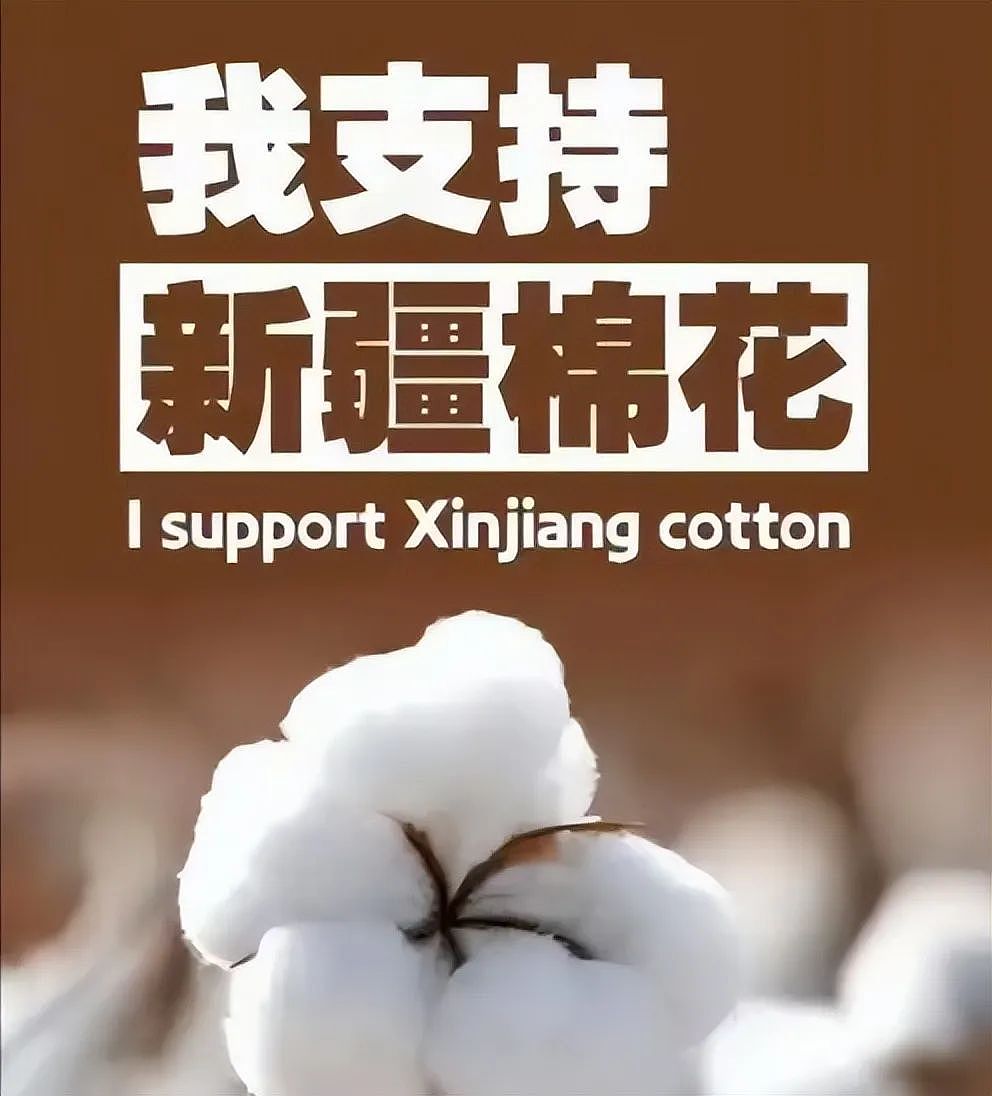 比新疆棉炸裂！又一外企“辱华”，48小时损失亿万，痛失中国市场（组图） - 10