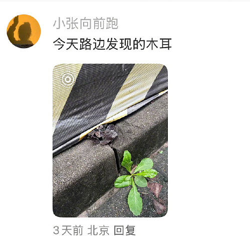 【爆笑】男朋友让我去找有钱人骗婚，再把钱分给他和他结婚（组图） - 52