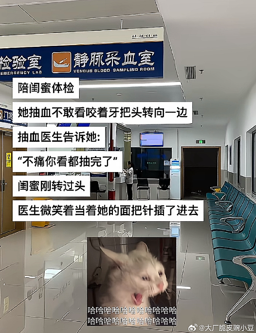 【爆笑】男朋友让我去找有钱人骗婚，再把钱分给他和他结婚（组图） - 41