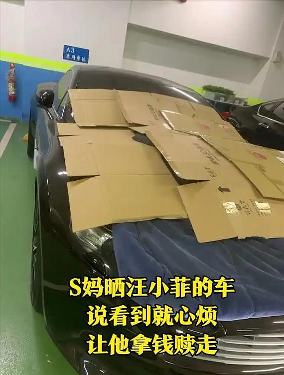 大S离世6个月，S妈再提告，汪小菲隔空喊话：台北房产和我无关（组图） - 8