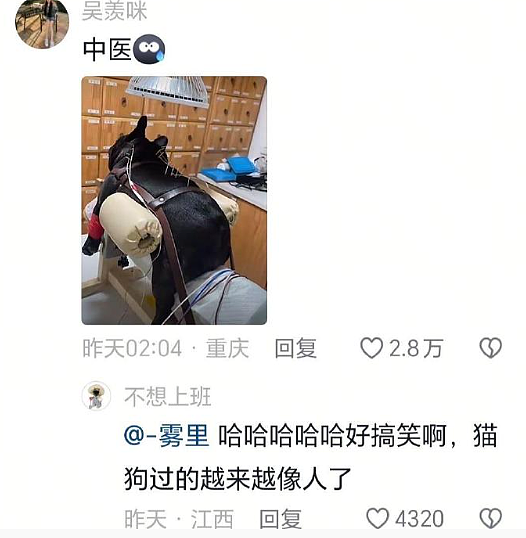 【爆笑】男朋友让我去找有钱人骗婚，再把钱分给他和他结婚（组图） - 46