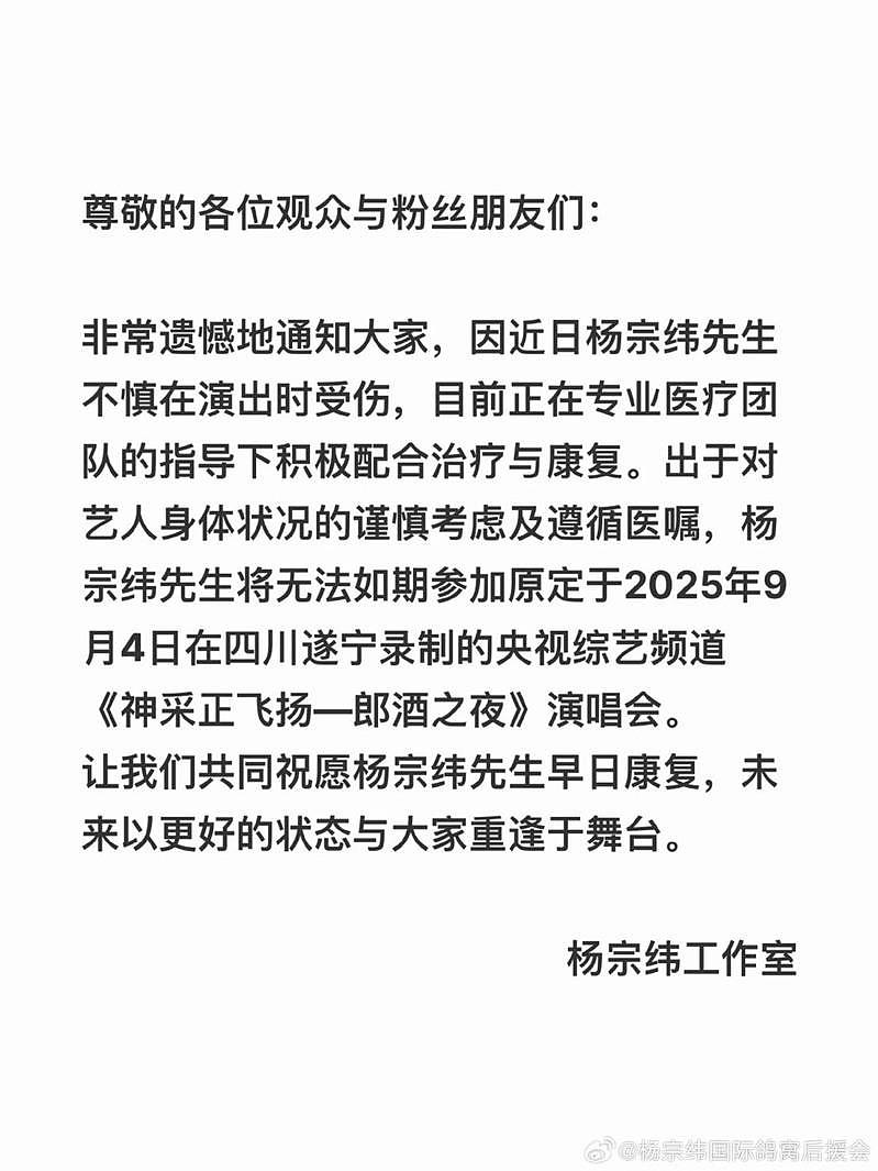 杨宗纬坠落舞台昏迷送医近况曝光，宣布“全面停工”（组图） - 3