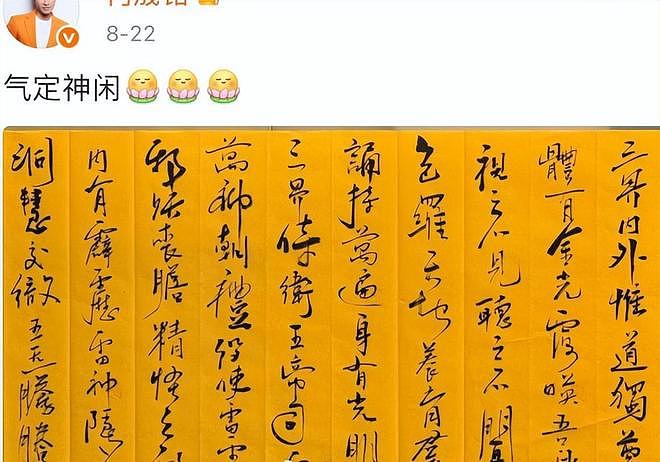 男星许凯要塌房了，以一己之力将半个娱乐圈拉下水，牵连多位艺人（组图） - 23
