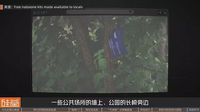 失控的芬太尼:药物滥用背后的权力、金钱与死亡(组图) - 43