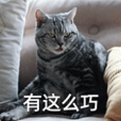 侵吞15亿国资,移民新加坡?中国女星虞书欣家族被指官商勾结,大量细节曝光(组图) - 10