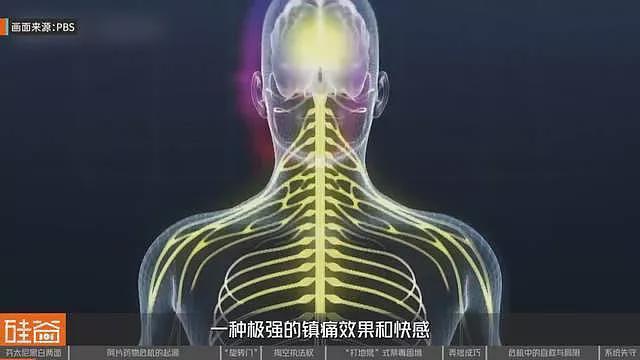 失控的芬太尼:药物滥用背后的权力、金钱与死亡(组图) - 2