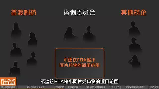 失控的芬太尼:药物滥用背后的权力、金钱与死亡(组图) - 19
