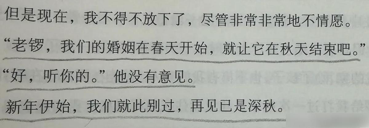 龚琳娜首谈离婚细节，自曝老锣出轨，原来他爱上奥地利的离异女人（组图） - 15